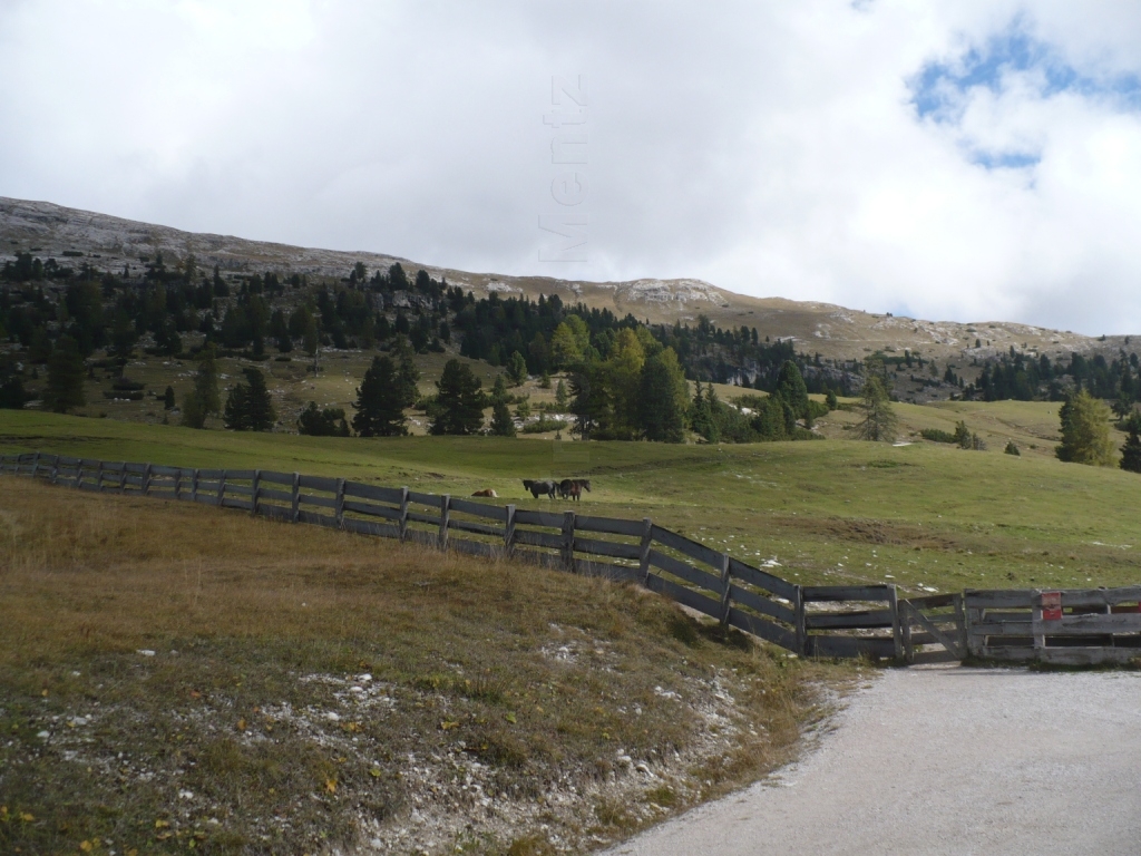Images/3 Suedtirol_ Ploetzwiese (161).jpg